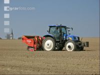 Kartoffel Saat 36