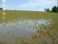Soja Wasser 5