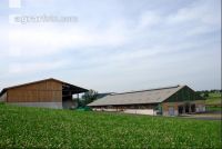 Cowshed barn 8