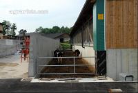 Laufstall außen 6