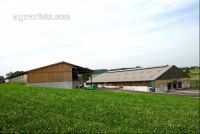 Cowshed barn 16