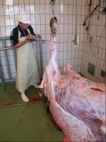Rind schlachten 39