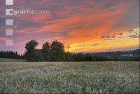Abendrot 4