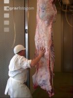 Rind schlachten 38