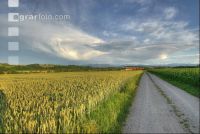 Wolken 9