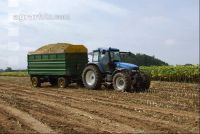 SoBlumen mexen 11