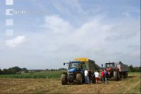 SoBlumen mexen 12