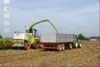 SoBlumen mexen 18