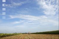 SoBlumen mexen 28