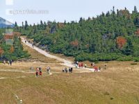 Wandern Rax 5