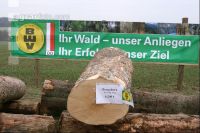 Wertholz Submission 2