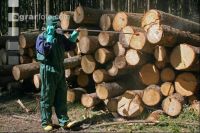 Waldschutztrupp 1