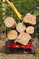 Buchen laden