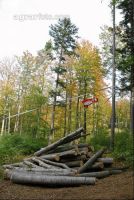 Seilanlage 14