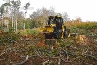 Holzbringung 5