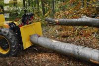 Holzbringung 3