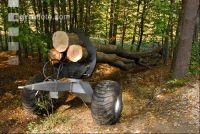 Holzbringung 1