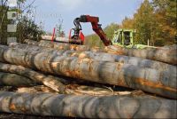Holz laden 1
