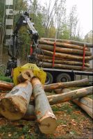 Holz laden 6