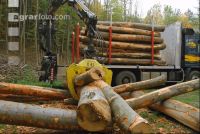 Holz laden 7