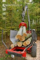 Holz laden 9