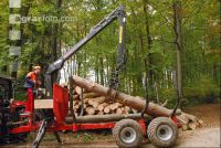 Holz laden 13