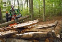 Holzspaltzange 1