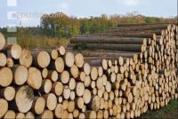 Fir log 2