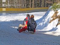 Schlitten fahren 1