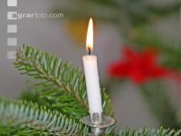 Christbaum 2