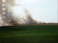 Flächenbrand J 
