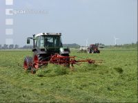 Grünfutter zetten 29