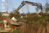 Wood chips alder 1