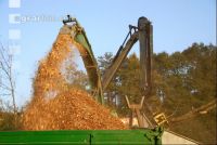 Wood chips alder 9