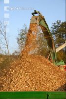 Wood chips alder 11
