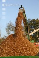 Wood chips alder 15