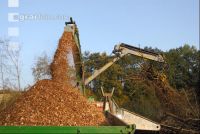Wood chips alder 3