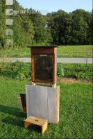 Schaubienenstand 2