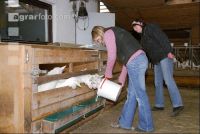 Kitze Milch 3