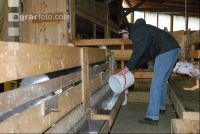 Kitze Milch 1