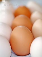 Eier 5
