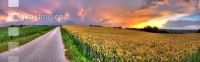 Abendrot 2