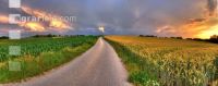 Abendrot 1