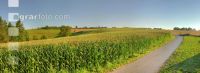 Mais Panorama 1
