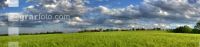 Gerste Panorama 13