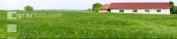 Gerste Panorama 12