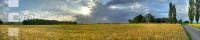 Gerste Panorama 10