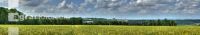 Gerste Panorama 7