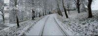 Gosenhub Winter 2