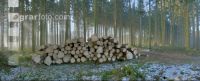 Holzstoss Panorama 1